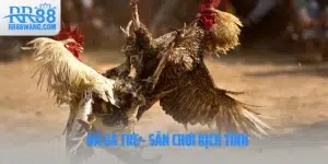 Ảnh đại diện đá gà tre