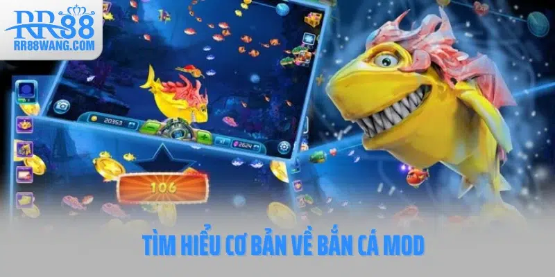 Tìm hiểu cơ bản về Bắn cá Mod
